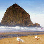 From A Gull's Perspective Haystack Rock Poster