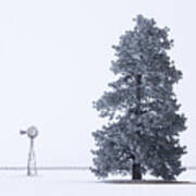 Frosty Pine And Windmill Poster