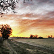 Frozen English Hedgerow At Dawn Poster