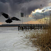 Frozen River And Flying Crow Jurmala Poster