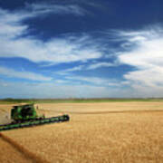 Full Hopper - John Deere Combine Harvesting Wheat On Rolling Nd Prairie Poster