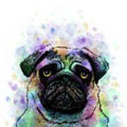 Funny Pug Dog 156 Poster