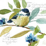 Garden Sketchbook Chickadee Poster