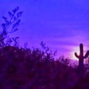 Giant Saguaro Cactus Super Moonrise In Cancer Poster