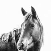 Gibson - Horse Art Poster