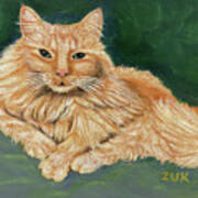 Ginger Cat Portrait Poster