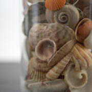 Glass Jar Of Collected Seashells Poster
