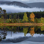 Glen Feshie Lochan Uamh Mists Cairngorms Np  Scotland Poster