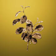Gold Alpine Buckthorn Plant On Mango Yellow N.03051 Poster