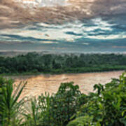 Golden Hour On The Napo River Poster