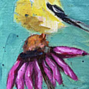 Goldfinch On A Coneflower Poster