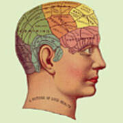 Good Health Human Brain Poster