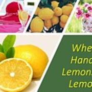 Got Lemons Make Lemonade Poster