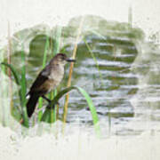 Grackle By The Lake Poster
