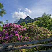 Grandfather Mountain Poster