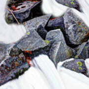 Granite In A Snowstream Poster