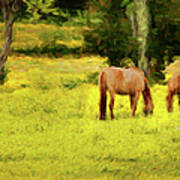 Grazing On Sunshine - Horses In A Pasture Ap Poster