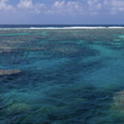 Great Barrier Reef Poster