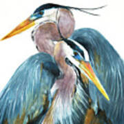 Great Blue Heron Couple Poster