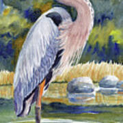 Great Blue Heron In A Stream Ii Poster