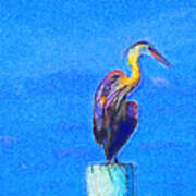 Great Blue Heron On Pier Right Poster