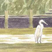 Great Egret On Little Magothy Poster