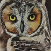 Great Horned Owl Poster