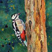 Great Spotted Woodpecker Poster