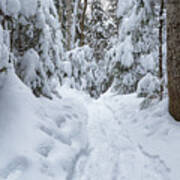 Greeley Ponds Trail - White Mountains, New Hampshire Poster