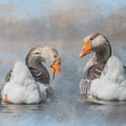 Greylag Goose Couple Poster