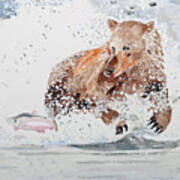 Grizzly Chasing Salmon Poster