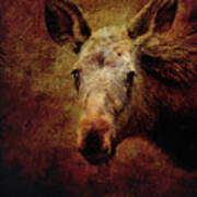 Grunge Moose Head Poster