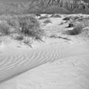 Guadalupe Gypsum Sand Dune Curves Black And White Poster