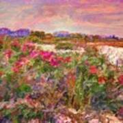 H Edgartown Shoreline Roses - Horizontal Poster