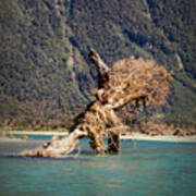 Haast  River, New Zealand Poster