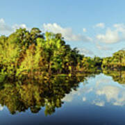 Hale Lake Reflections Poster