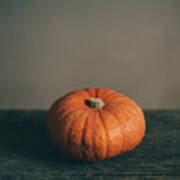 Halloween Pumpkin Still Life. Poster