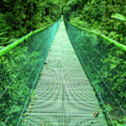 Hanging Bridge In Cloud Forest In Monte Verde Costa Rica Poster