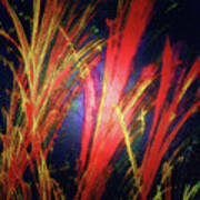 Happy Glowing Grass Poster