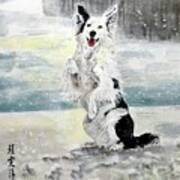 Happy Puppy In The Snow Poster