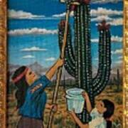Harvesting The Seguaro Poster