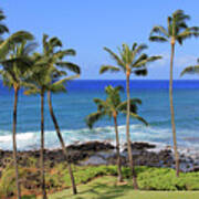 Hawaiian Palms Poster