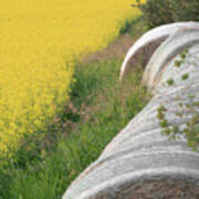 Hay Bales And Rapeseed Poster