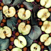 Heirloom Apples Poster