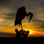 Heron At Sunset Poster