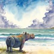 Hippopotamus At Beach Poster