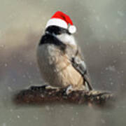 Holiday Chicadee Poster