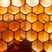 Honeycomb Macro Poster