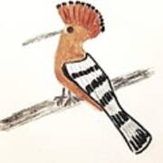 Hoopoe Bird Poster