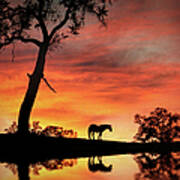 Horse Oak Tree And Water Southwestern Sunset Country Poster
